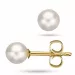 5 mm scrouples perle øreringe i 8 karat guld