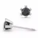 2 x 0,32 ct sorte solitaireørestikker i 14 karat hvidguld med sort diamant