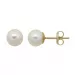 6 mm Støvring Design runde hvide perle øreringe i 8 karat guld