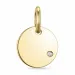 diamant vedhæng i 9 karat guld 0,01 ct