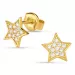 stjerne øreringe i 9 karat guld med zirkon