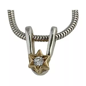 Randers Sølv stjerne vedhæng med halskæde i sølv med 14 karat guld hvid zirkon