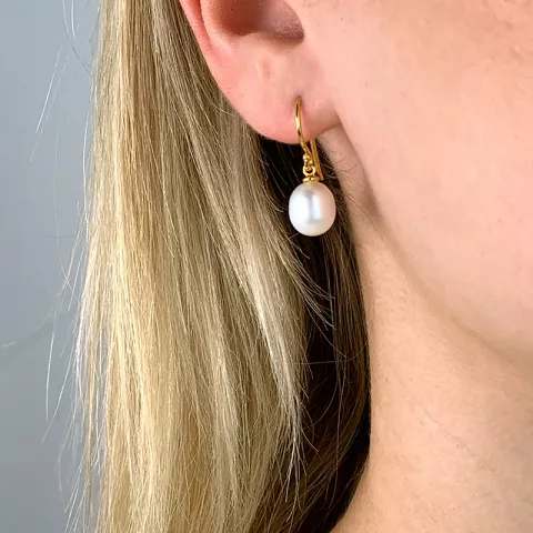 8-8,5 mm perle øreringe i forgyldt sølv
