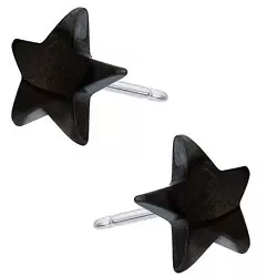Blanke Blomdahl stjerne øreringe i sort titanium