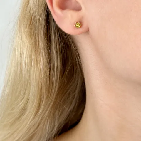 2 x 0,14 ct gule behandlet naturlig diamant solitaireørestikker i 14 karat guld med gul diamant