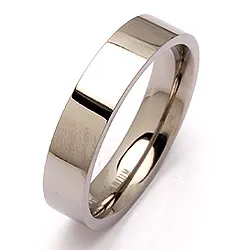 Ring i titanium