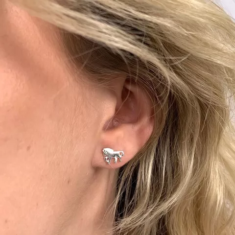 øreringe i sølv
