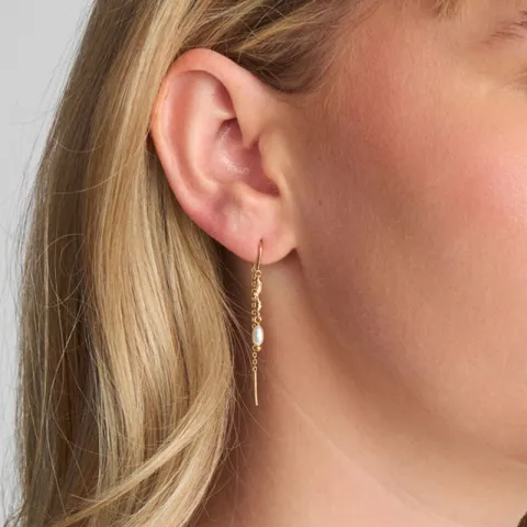 Studio Z Tangled perle ørehænger i forgyldt sølv