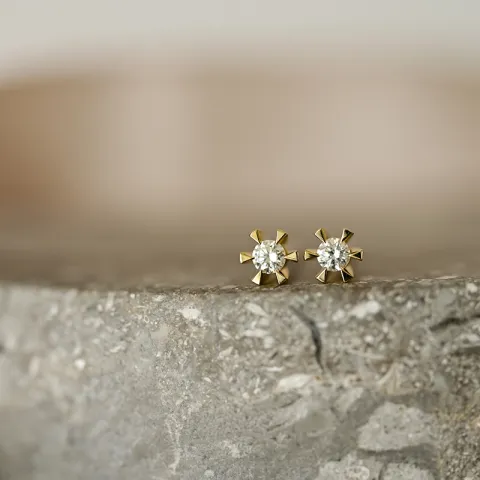 2 x 0,05 ct Kampagne - diamant solitaireørestikker i 14 karat guld med diamant 