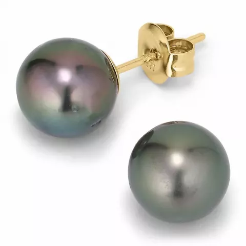 8,5-9 mm a-graded tahiti perle ørestikker i 14 karat guld