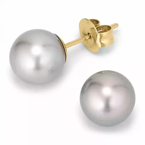 8,5-9 mm a-graded tahiti perle ørestikker i 14 karat guld