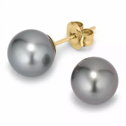 9,5-10 mm a-graded tahiti perle ørestikker i 14 karat guld