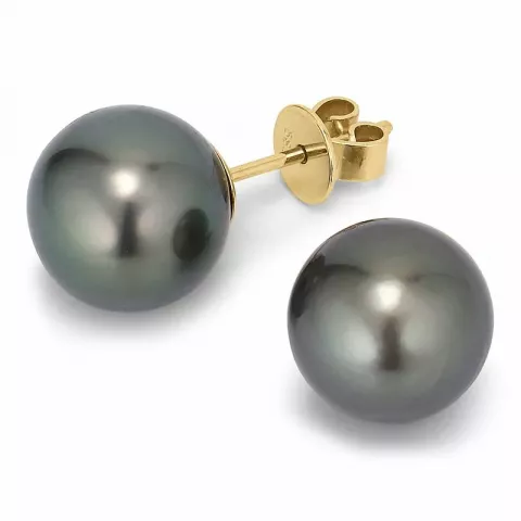10 - 11 mm a-graded tahiti perle ørestikker i 14 karat guld