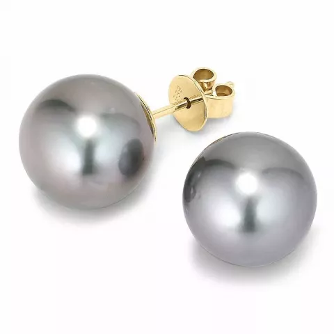 10 - 11 mm a-graded tahiti perle ørestikker i 14 karat