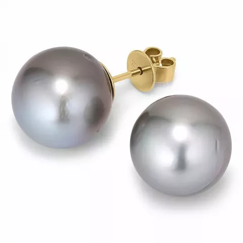 11 - 12 mm a-graded tahiti perle ørestikker i 14 karat guld