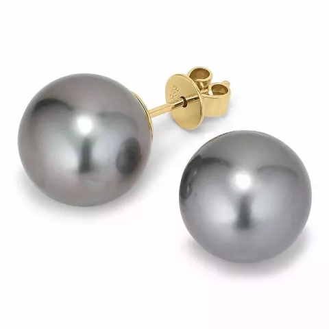 11 - 12 mm a-graded tahiti perle ørestikker i 14 karat guld