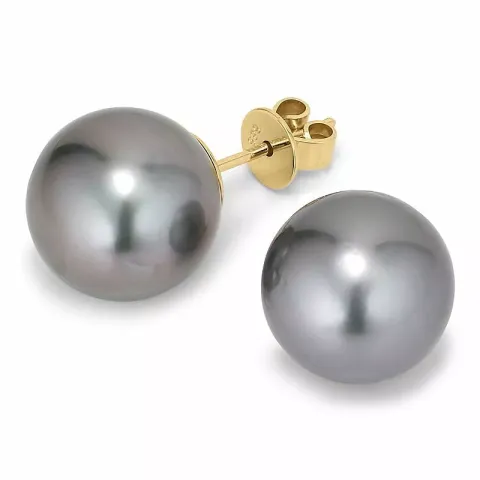 11 - 12 mm a-graded tahiti perle ørestikker i 14 karat guld
