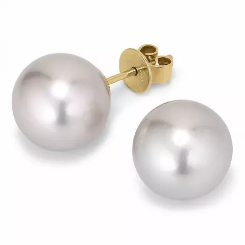 10 - 11 mm a-graded grå tahiti perle ørestikker i 14 karat guld