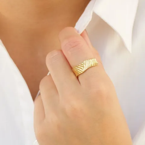 ring i forgyldt messing - Eliné