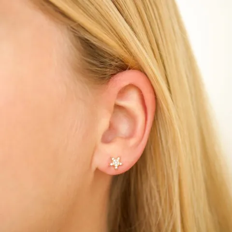 stjerne zirkon øreringe i forgyldt messing - Eliné