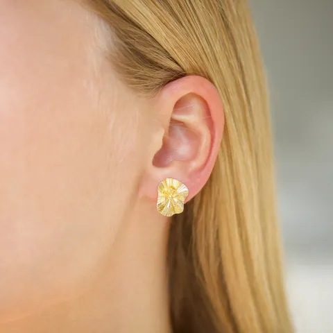 øreringe i forgyldt messing - Eliné