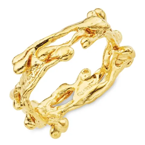 ring i forgyldt sølv