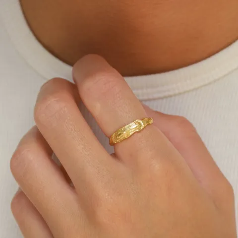 ring i forgyldt sølv