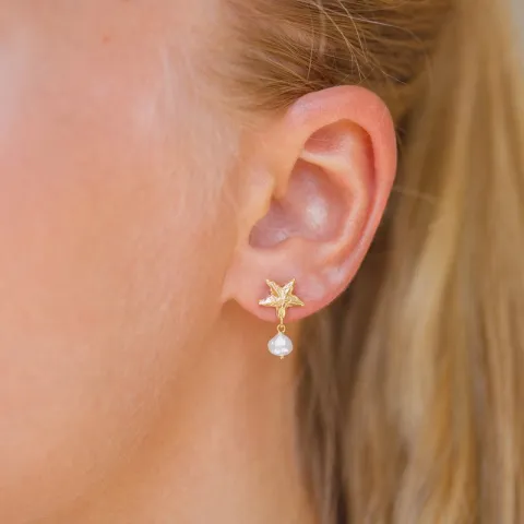 søstjerne perle øreringe i forgyldt messing - Eliné
