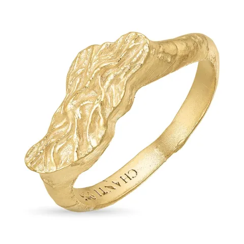 ring i forgyldt messing - Eliné