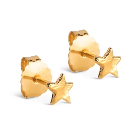 Enamel Star Energy ørestikker i forgyldt sølv
