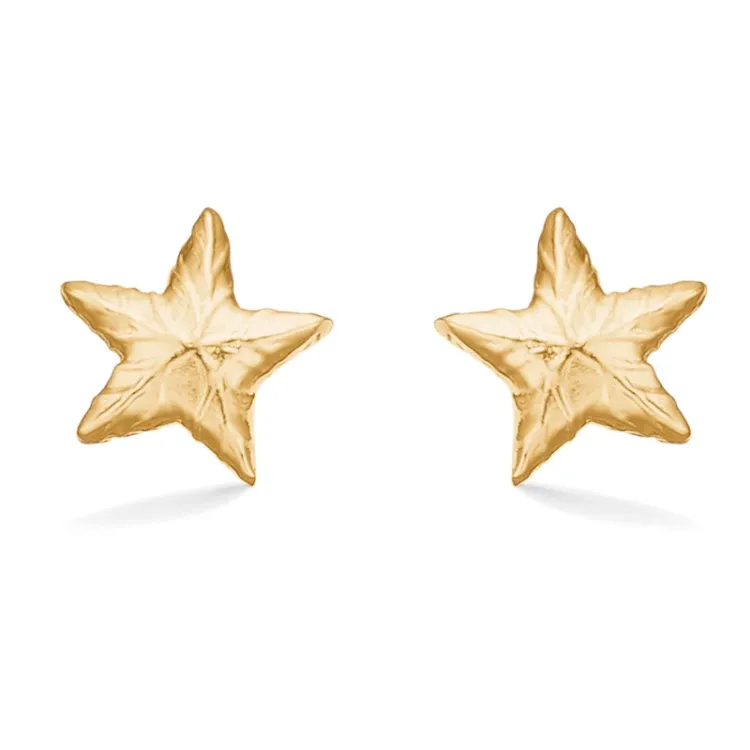 Studio Z Shiny Star øreringe i forgyldt sølv