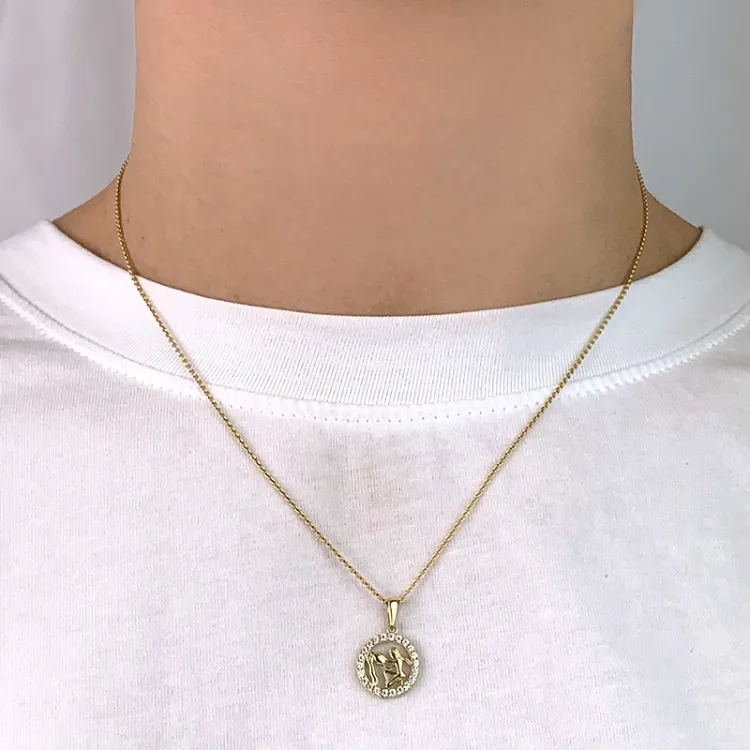 stjernetegn vandmanden zirkon vedhæng i 8 karat guld - Gold Collection