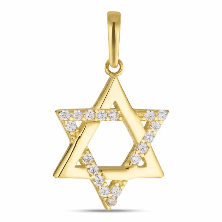 davidstjerne zirkon vedhæng i 8 karat guld - Gold Collection