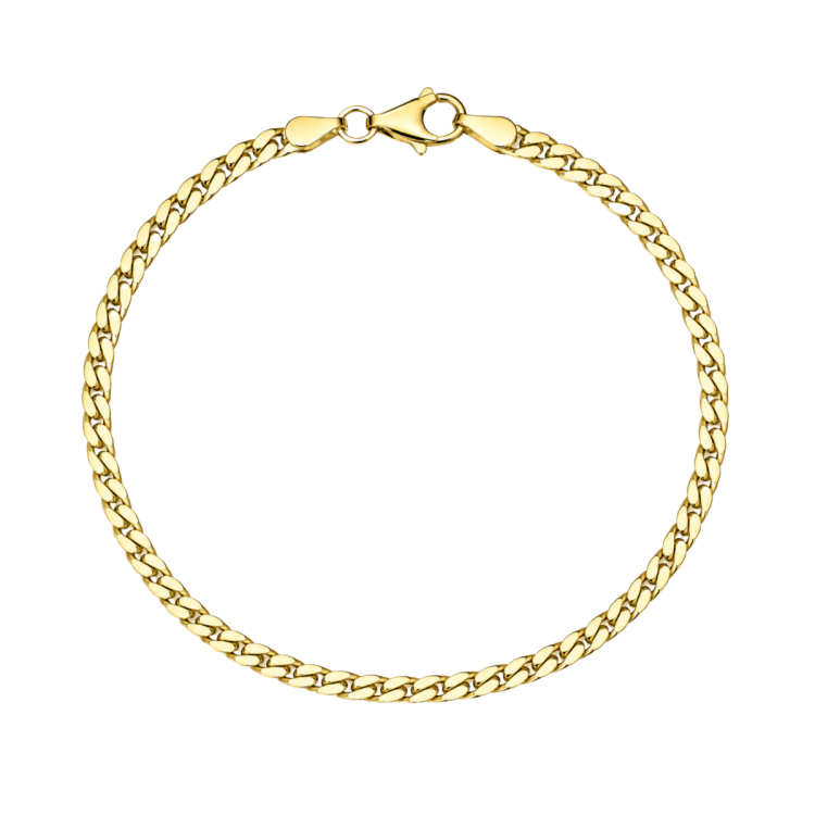 BNH panserarmbånd i forgyldt sølv 17 cm x 2,7 mm