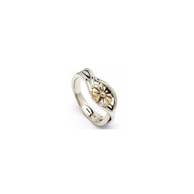 Ring i sølv