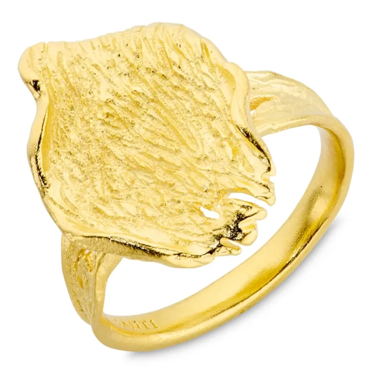 ring i forgyldt messing - Eliné