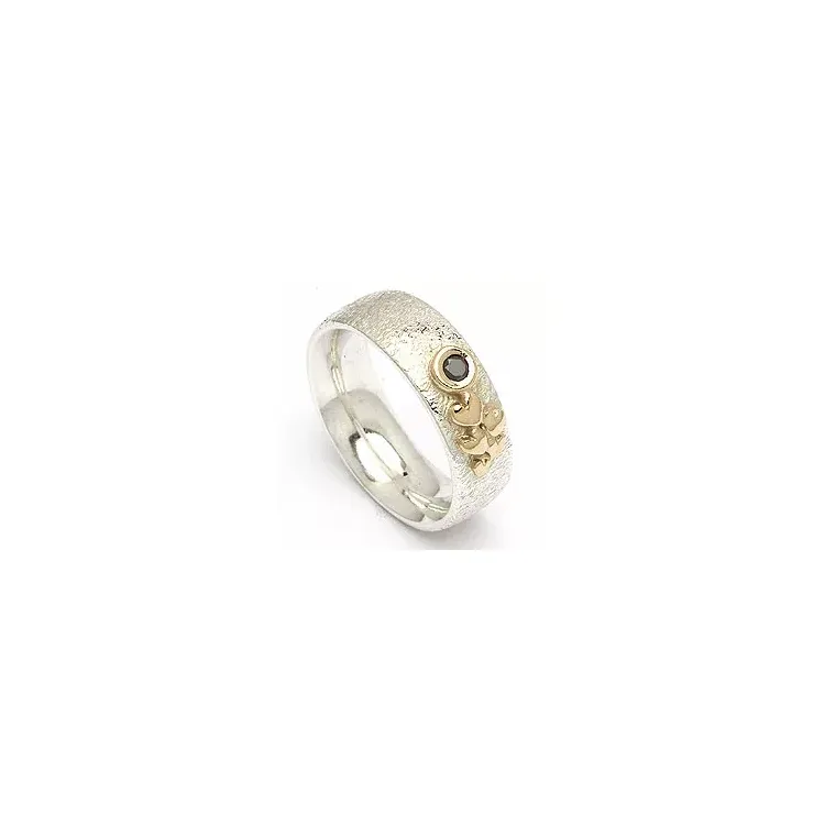 Kollektionsprøve sort diamant ring i sølv