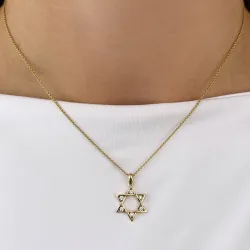 Davidstjerne diamantvedhæng i 14 karat guld.- og hvidguld 0,18 ct