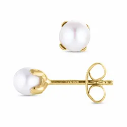5 mm runde perleøreringe i 9 karat guld - Gold Collection