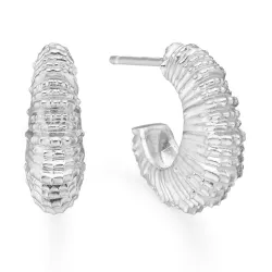 Studio Z Seashell Secrets ørestikker i sølv