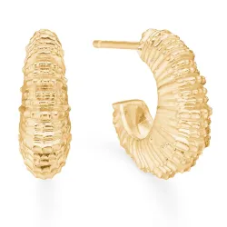 Studio Z Seashell Secrets ørestikker i forgyldt sølv