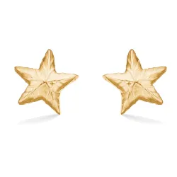 Studio Z Shiny Star øreringe i forgyldt sølv