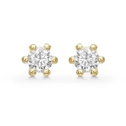 2,5 mm Støvring Design ørestikker i forgyldt sølv hvid zirkon