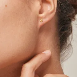 4 mm Enamel Rio Mini ørestikker i forgyldt sølv